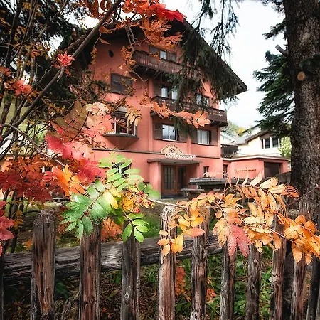 Chalet Speciale - Celerina-3